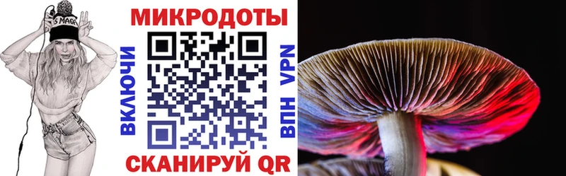 Псилоцибиновые грибы Magic Shrooms  кракен зеркало  Андреаполь 